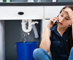 About Emergency plumbing pros Hamilton, WA